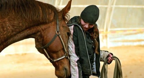 Equiherds platform overview