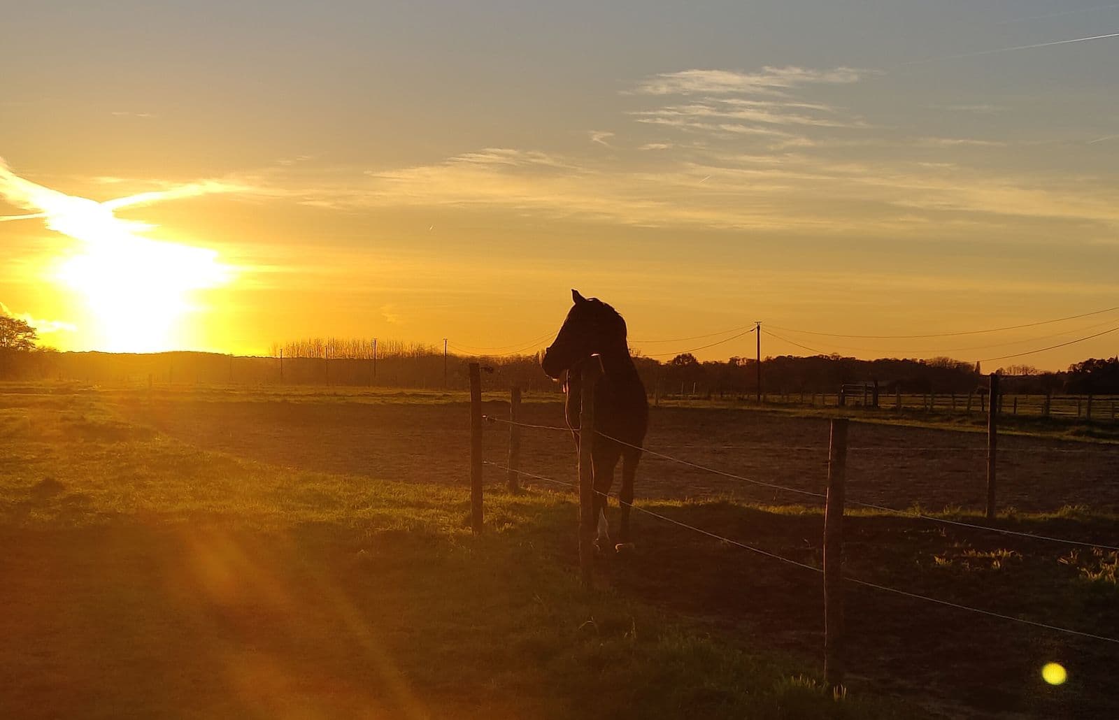 Manage Herds Smarter